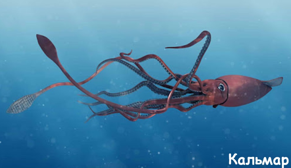 0201k665-90a6-940x543.png