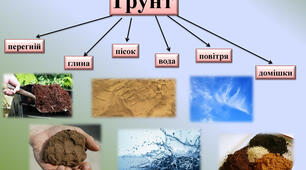 Види грунтів
