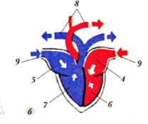 0201k6g7-68b3-208x175.png