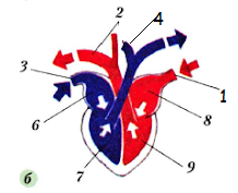0201k6h7-6af4-218x177.png