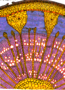 0201k8ox-9bba-210x290.png
