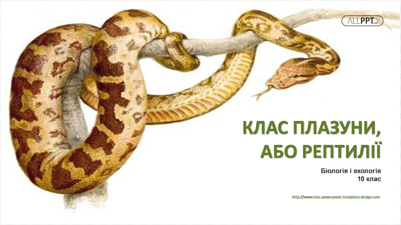 PNG LAYOUT
