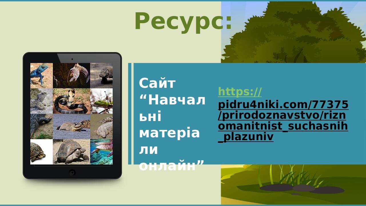 Ресурс: Сайт “Навчальні матеріали онлайн” https://pidru4niki.com/77375/prirodoznavstvo/riznomanitnist_suchasnih_plazuniv Place Your Picture Here BA...
