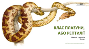 Презентація "Тип Хордові Тварини. Клас Плазуни"
