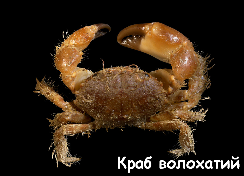 0201kan3-1ff0-843x607.png