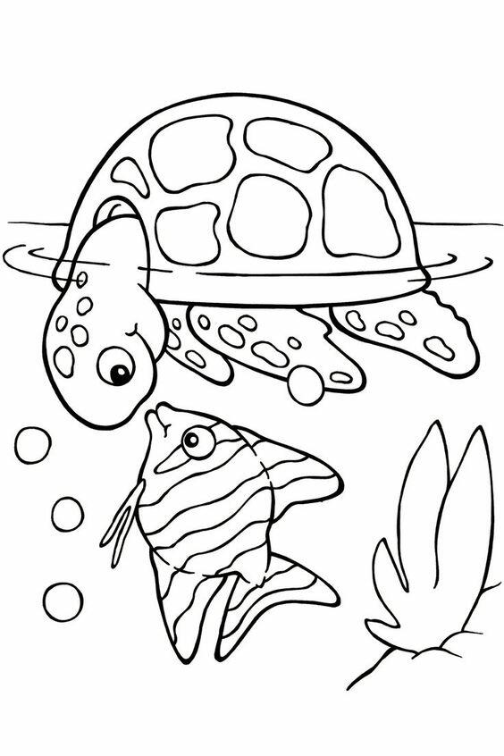0201kbu4-ca48-564x846.jpg