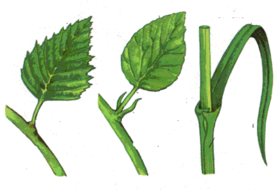 0201kcm7-8c0c-277x190.png