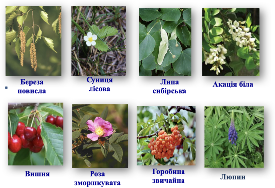0201kco8-30a2-553x378.png