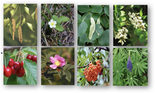 0201kcpv-1f58-544x326.png