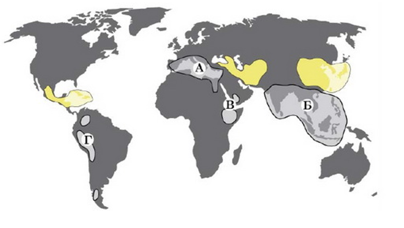 0201kd2a-5b33-804x455.png