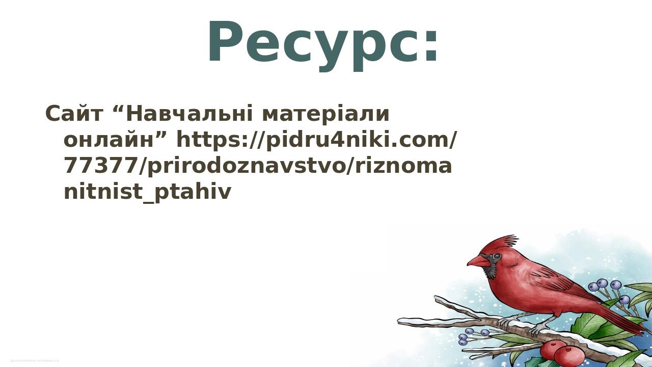 Ресурс: Сайт “Навчальні матеріали онлайн” https://pidru4niki.com/77377/prirodoznavstvo/riznomanitnist_ptahiv