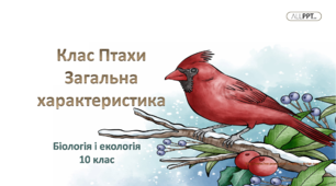 Презентація "Тип Хордові . Клас Птахи"