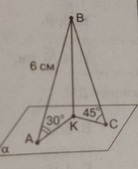 0201kekl-89a9-371x455.jpg