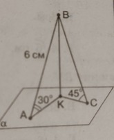 0201kekl-89a9-371x455.jpg