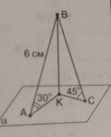 0201kekl-89a9-371x455.jpg