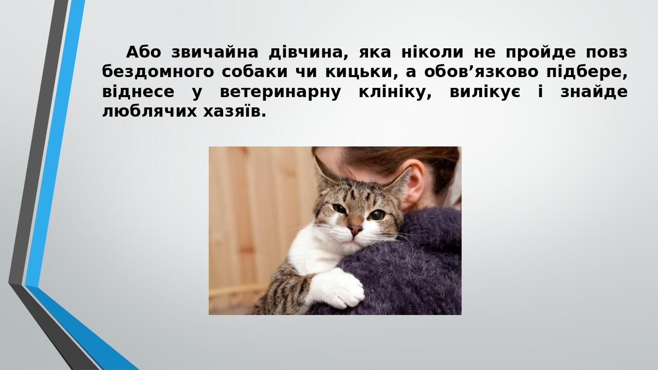 Або звичайна дівчина, яка ніколи не пройде повз бездомного собаки чи кицьки, а обов’язково підбере, віднесе у ветеринарну клініку, вилікує і знайде...