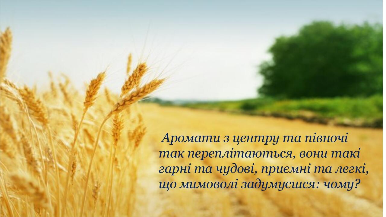 Аромати з центру та півночі так переплітаються, вони такі гарні та чудові, приємні та легкі, що мимоволі задумуєшся: чому?