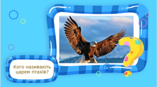Презентація - гра "У світі птахів"