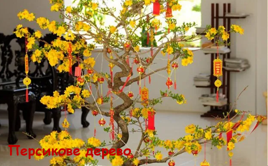 0201kiik-0f93-940x584.png