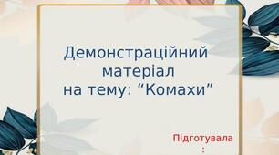 Демонстраційний матеріал  на тему: “Комахи”