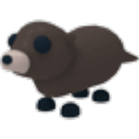 0201kmci-538d-200x200.png