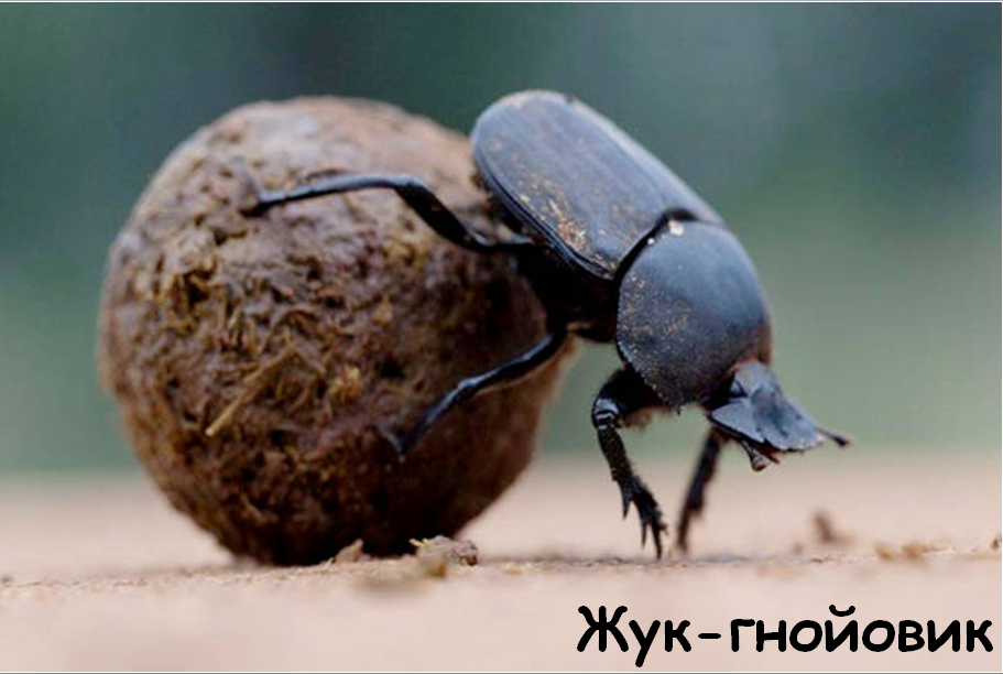 0201kov2-4806-911x612.png