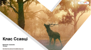 Презентація "Тип Хордові. Клас Ссавці"