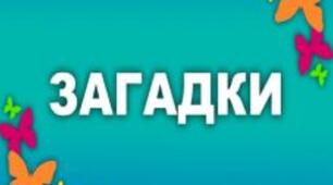 "Загадка як вид усної народної творчості"