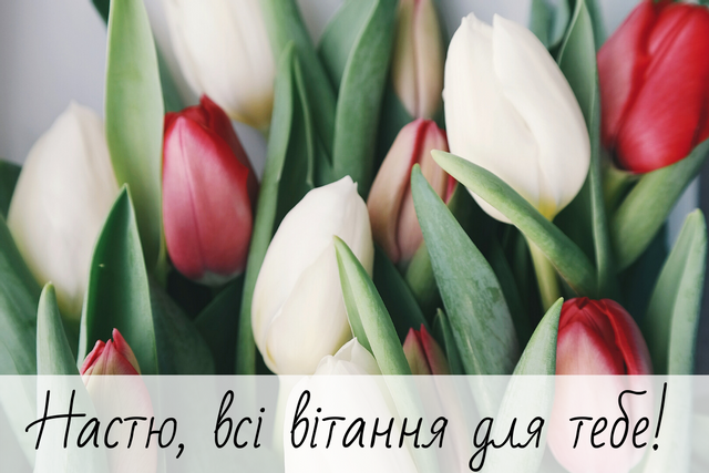 0201ktjt-ced6-640x427.png