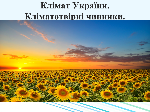 0201ktpx-c988-600x450.png