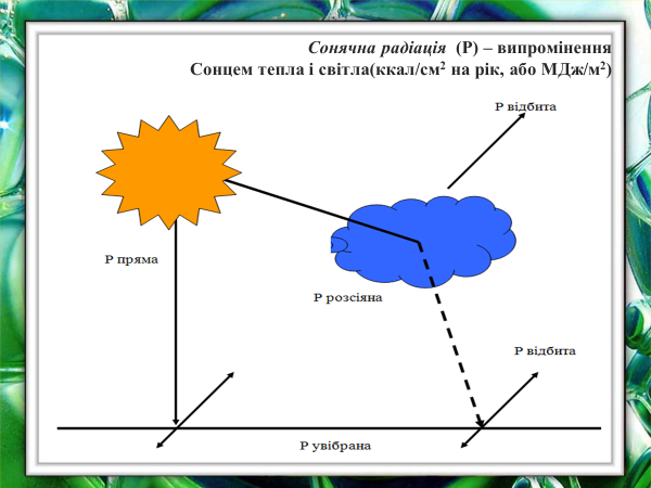 0201ktq5-6989-600x450.png