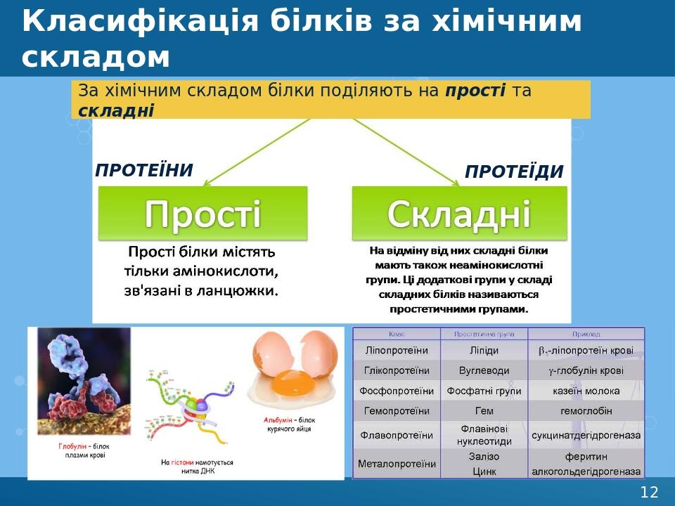 Класифікація білків за хімічним складом ПРОТЕЇНИ ПРОТЕЇДИ За хімічним складом білки поділяють на прості та складні