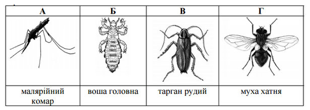 0201kvmk-faf1-614x218.png