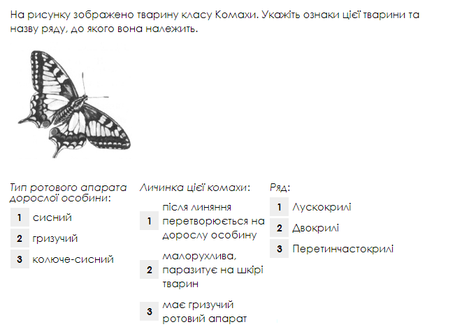 0201kvmw-aa8c-651x482.png
