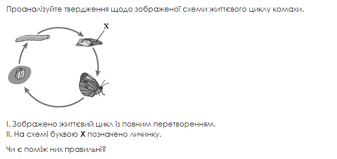 0201kvmz-42e2-666x314.png