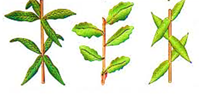 0201kvxu-e7e8-398x191.png