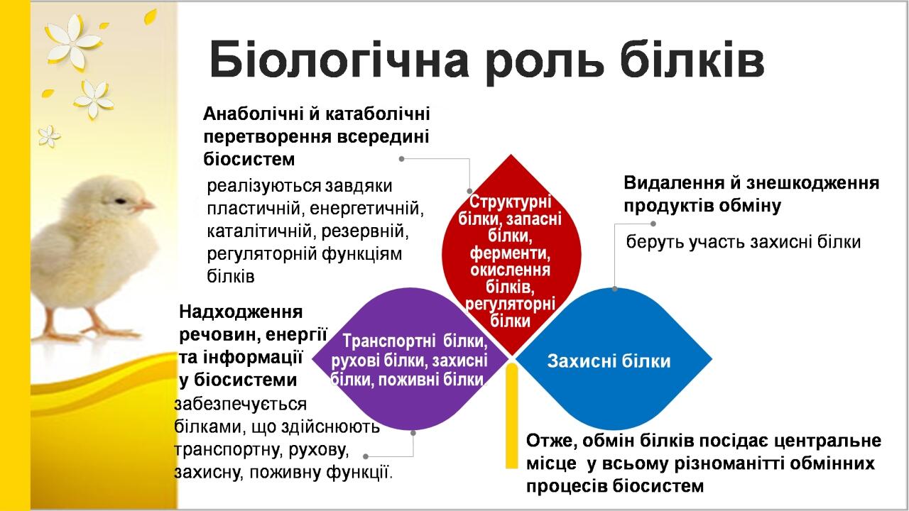 BASIC LAYOUT