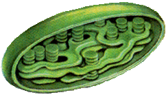 0201kx3d-c20b-242x138.gif