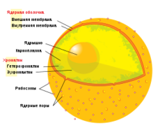 0201kx3e-4679-240x196.png