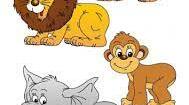 Animals