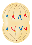 0201ky9z-c1de-107x151.png