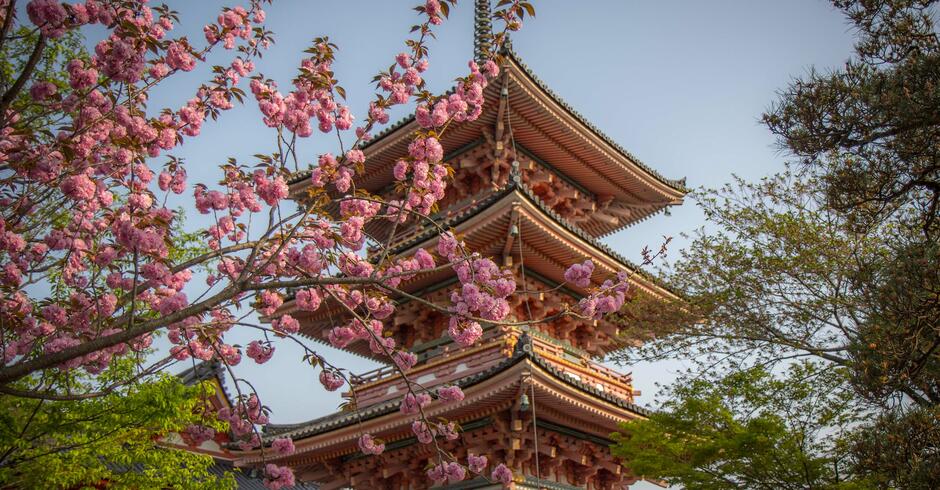 World Heritage temples and shrines in Kyoto, Japan