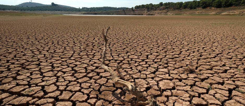 Mali farmers are using hybrid crops to fight drought | World Economic Forum