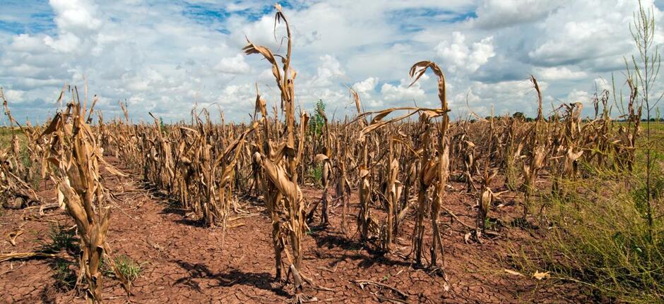 Drought and Climate Change | Union of Concerned Scientists