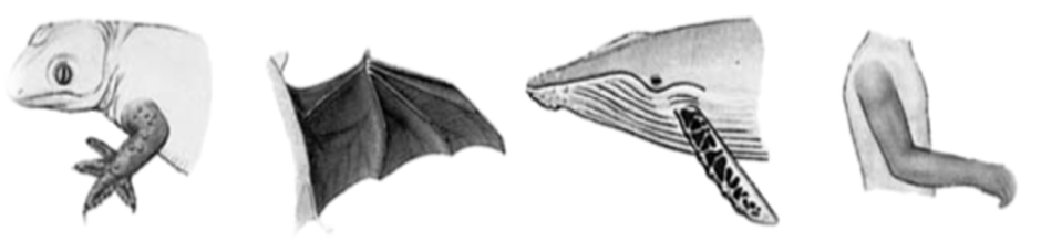 0201kz8x-1ce1-940x228.png