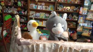 Puppet show in the library! 