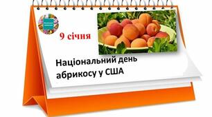 9 січня - Національний  день абрикосу у США