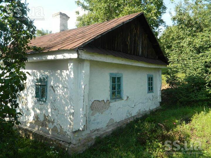 Возможно, это изображение (на открытом воздухе и дерево)
