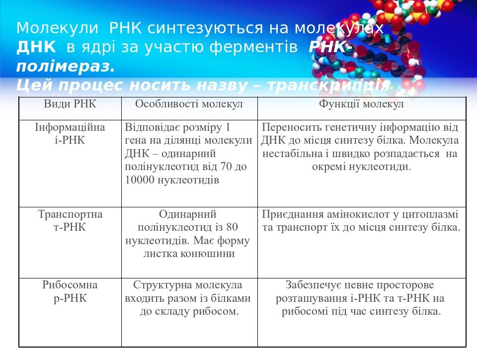 Молекули РНК синтезуються на молекулах ДНК в ядрі за участю ферментів РНК-полімераз. Цей процес носить назву – транскрипція Види РНК Особливості мо...