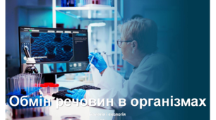 Презентація "Обмін речовин та енергії — основа функціонування біологічних систем"